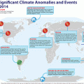 2014-was-the-hottest-year-in-135-years-of-record-keeping