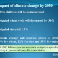 impact-of-climate-change-on-rice-production-22-638